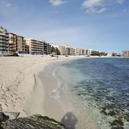 Your Spain P21 托雷维耶哈